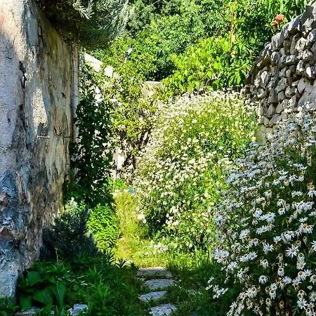 Slavica